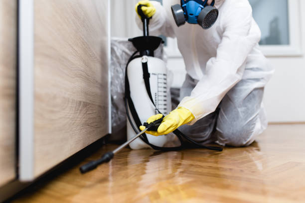 Best Affordable Pest Control Services  in Garden City, KS