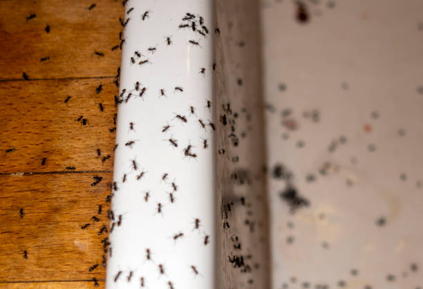 Best Commercial Pest Control Services  in Garden City, KS