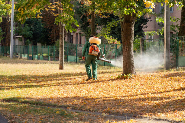 Professional Pest Control in Garden City, KS